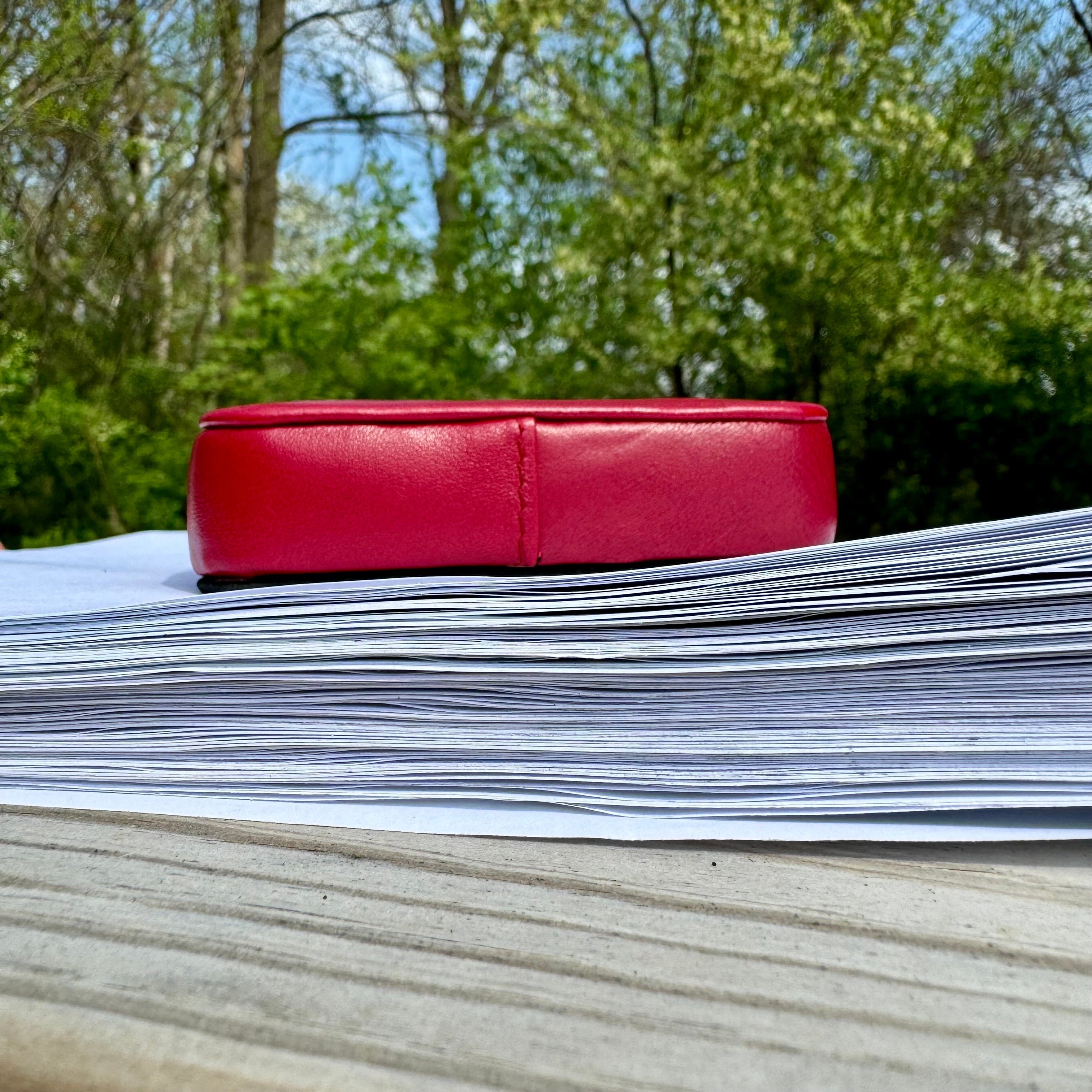 Framed Leather Paperweight