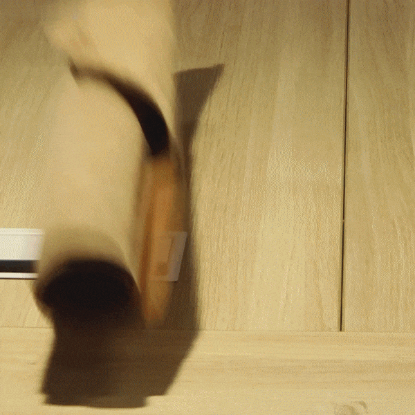 Bianca Leather Tote Bag/Crossbody Bag